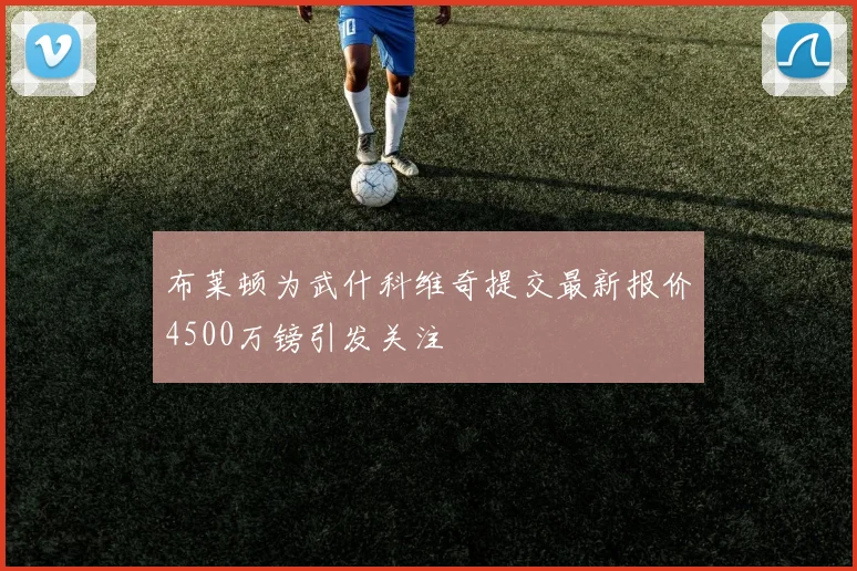 布莱顿为武什科维奇提交最新报价4500万镑引发关注