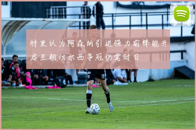 特里认为阿森纳引进强力前锋能开启王朝切尔西争冠仍需时日