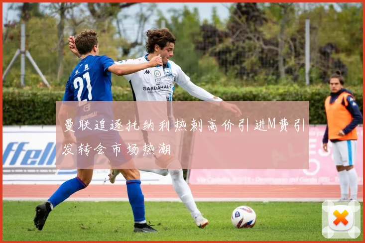 曼联追逐托纳利热刺高价引进M费引发转会市场热潮